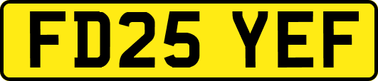 FD25YEF