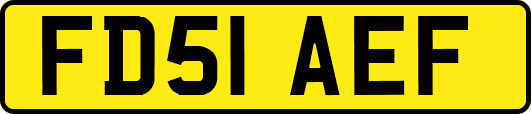 FD51AEF