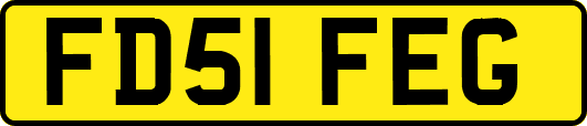 FD51FEG