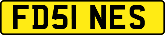 FD51NES