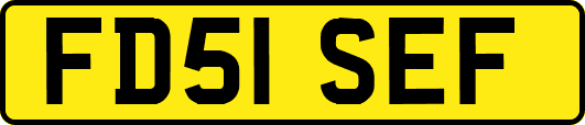 FD51SEF