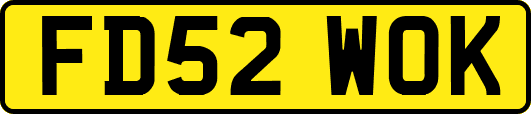 FD52WOK