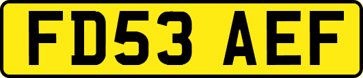 FD53AEF