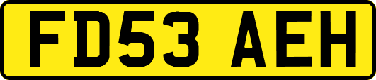 FD53AEH