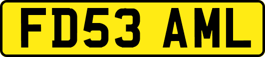 FD53AML