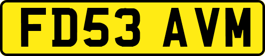 FD53AVM