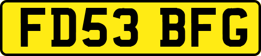 FD53BFG