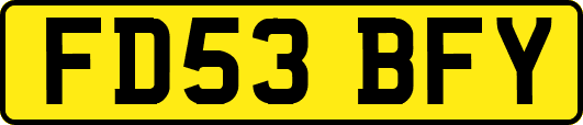 FD53BFY