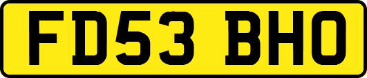 FD53BHO