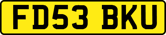 FD53BKU