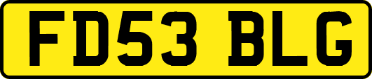 FD53BLG