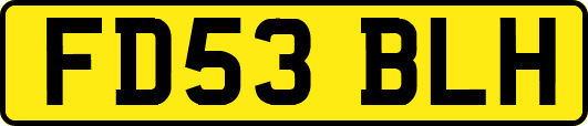 FD53BLH