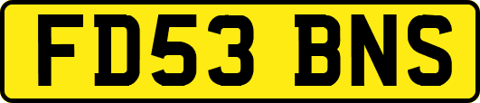 FD53BNS
