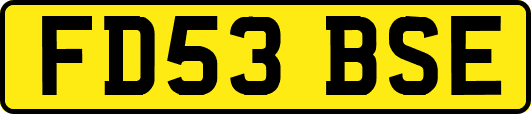 FD53BSE