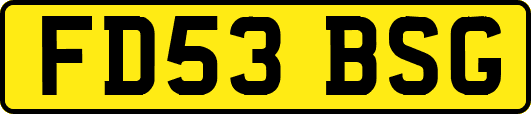 FD53BSG