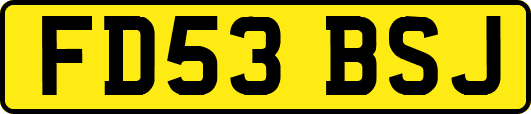 FD53BSJ