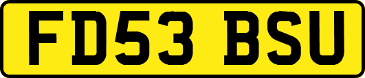 FD53BSU