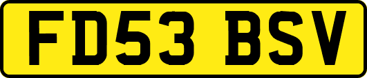 FD53BSV