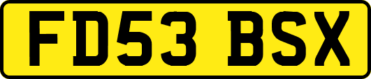 FD53BSX
