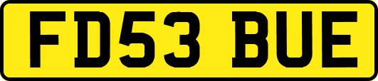 FD53BUE