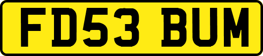 FD53BUM