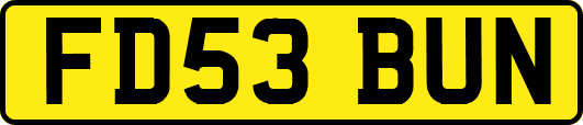 FD53BUN