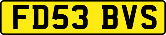 FD53BVS
