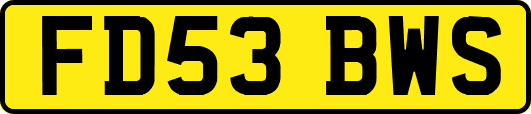 FD53BWS