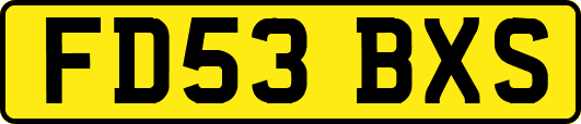 FD53BXS