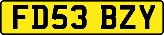 FD53BZY