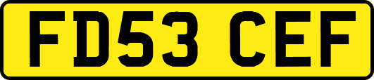 FD53CEF