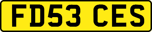 FD53CES