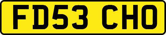 FD53CHO