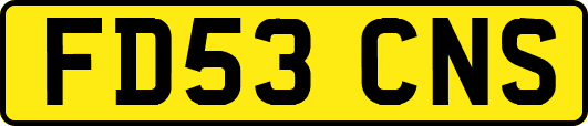 FD53CNS