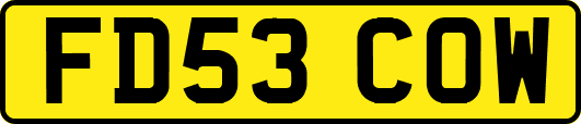 FD53COW