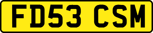 FD53CSM