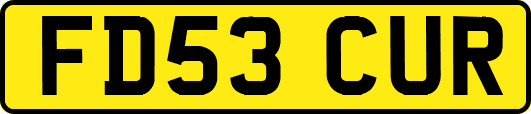 FD53CUR
