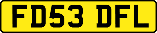 FD53DFL