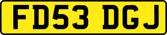 FD53DGJ