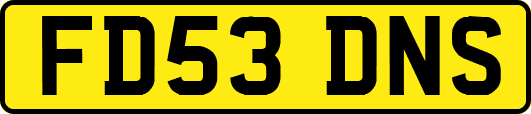 FD53DNS