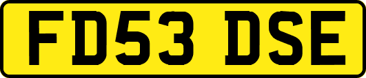 FD53DSE