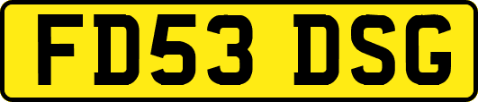 FD53DSG