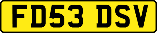 FD53DSV