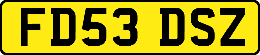 FD53DSZ