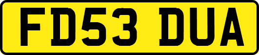 FD53DUA