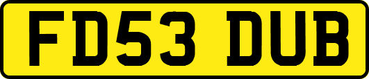 FD53DUB