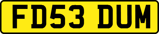 FD53DUM