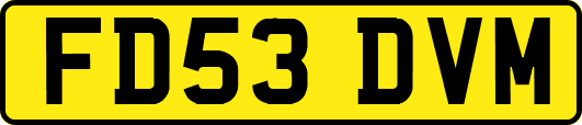 FD53DVM