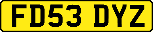 FD53DYZ
