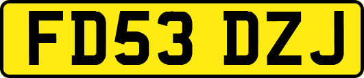 FD53DZJ